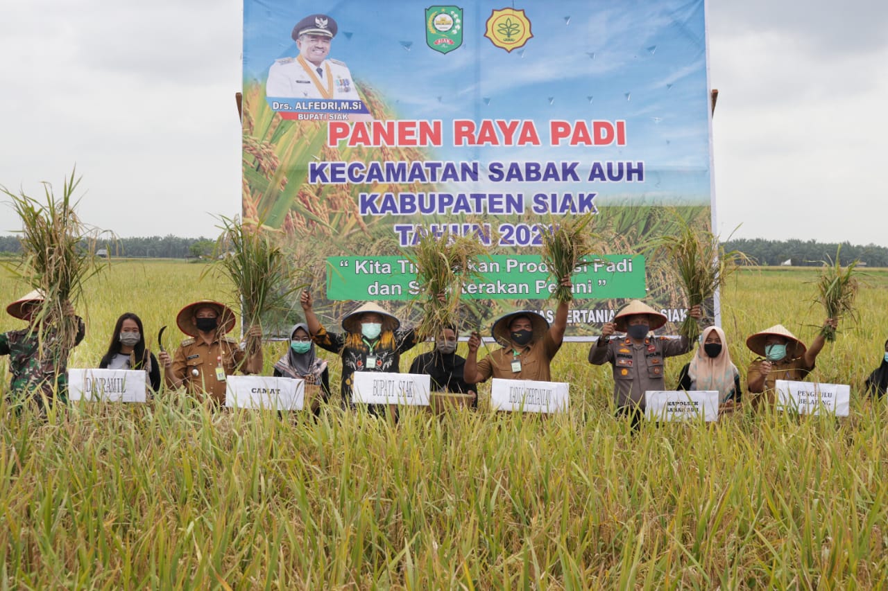 Pedesaan Asri