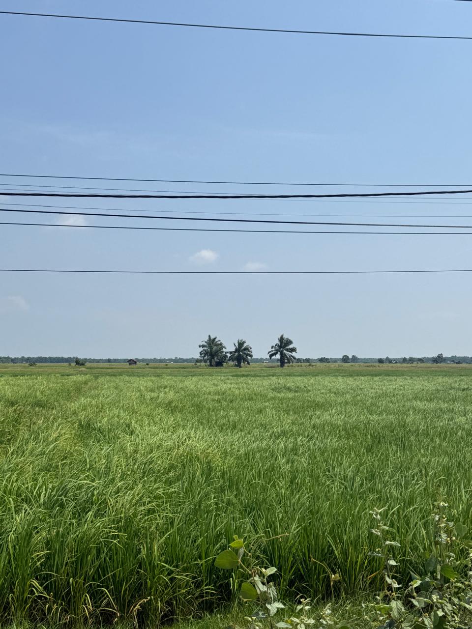 Sejarah Kampung Belading